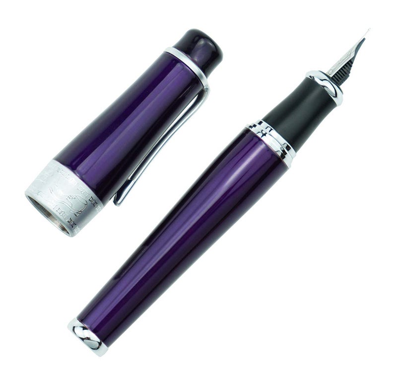 Asvine Duke Luxury Purple Fountain Pen Fine Nib, Charlie Chaplin Series, Unique Design Collection Heavy Pen with Pouch - Image 5